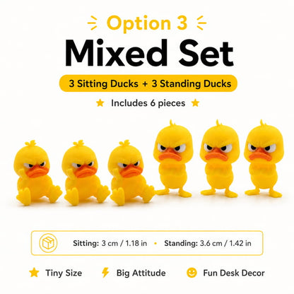 ⏰Ends Today: 18.99$🎁Lowest price ever💥