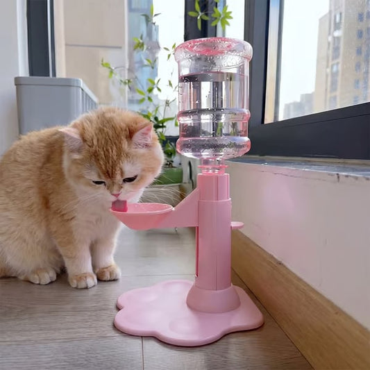 🔥Last Day 50% OFF🐱$28.99❤️‍🔥