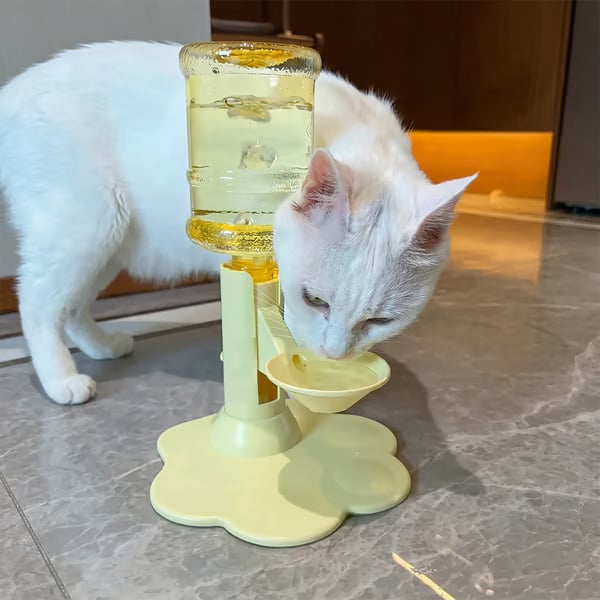 🔥Last Day 50% OFF🐱$28.99❤️‍🔥